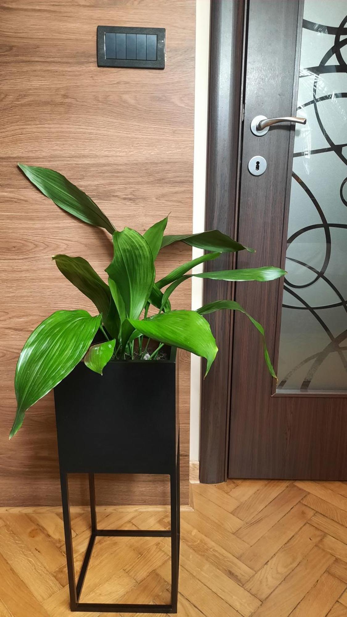 Stan Na Dan Apartman D Lux Jacuzzi Kragujevac Kültér fotó